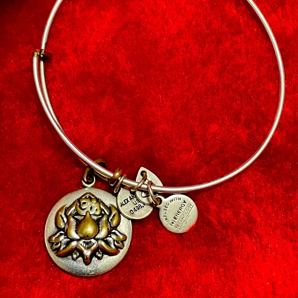 Alex & Ani bracelet